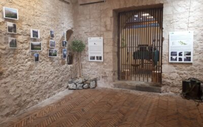 Mostra sui Paesaggi agricoli a Priverno