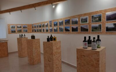A Latina nello Spazio Nicolosi presentiamo la nostra mostra fotografica sui Paesaggi agricoli
