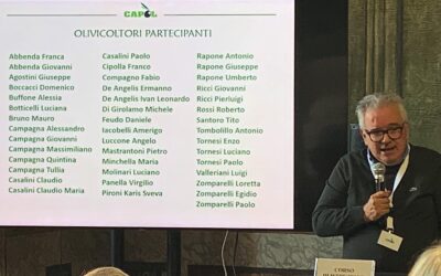 VINCITORI XI Concorso Provinciale “L’Olio delle Colline” a SEZZE